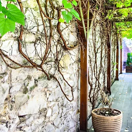 Grono Отель типа 