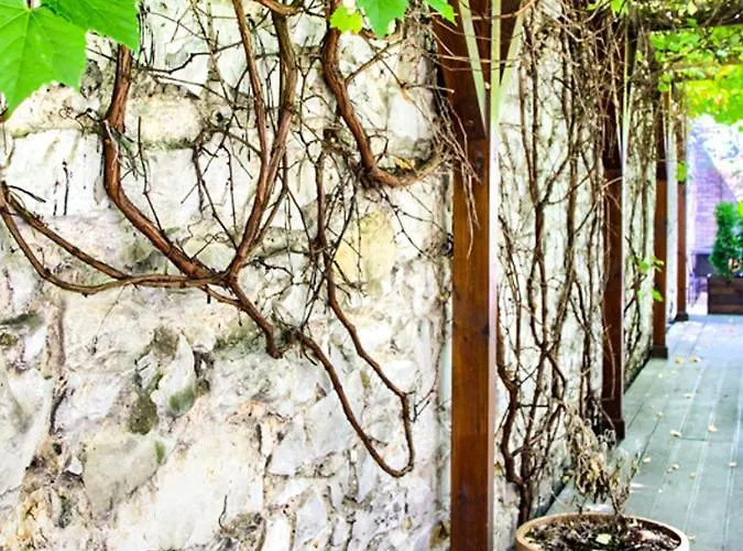 Grono Bed & Breakfast Czestochowa